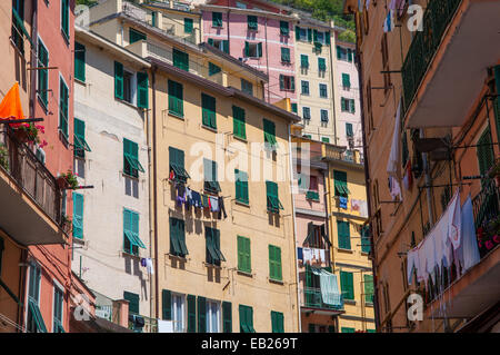 Maisons colorées au Cinque Terre Italie Banque D'Images