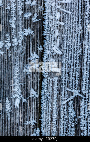 La texture de fond de planches en bois ou en bois mur recouvert avec de la gelée blanche cristal de glace en hiver Banque D'Images