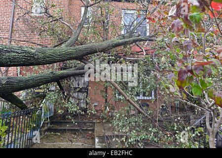 Lendemain de la tempête tropicale l'Ouragan Sandy super, dans le Queens, New York. Banque D'Images