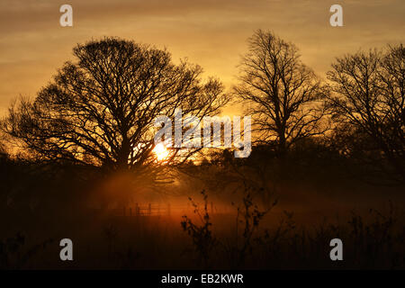 Gainford, comté de Durham, Royaume-Uni. 25 novembre 2014. Météo France : le soleil perce la brume d'un matin glacial de Gainford, comté de Durham. © Robert Smith/Alamy Banque D'Images