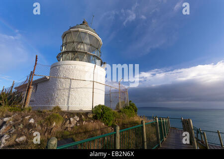 Le phare à Nugget Point dans la lumière du matin, Nugget Point, télévision Ahuriri, Région de l'Otago, Nouvelle-Zélande Banque D'Images