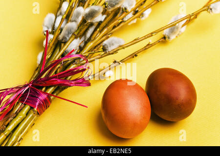 Bouquet de branches de saule et deux oeufs de Pâques Banque D'Images