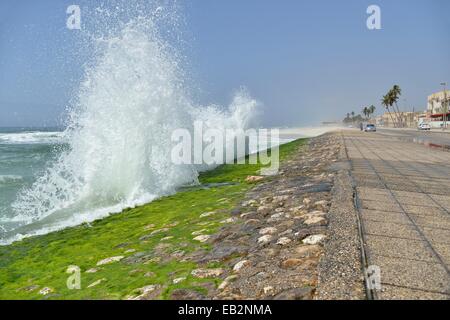 Surf à la corniche de Marseille pendant la mousson, ou saison Khareef, Salalah Dhofar, région, Orient, Oman Banque D'Images