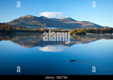 Les montagnes MacGillycuddy Reeks reflétée dans le Lough Leane, le Parc National de Killarney, comté de Kerry, Irlande. Banque D'Images