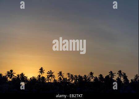 Une plage bordée de palmiers sur une île tropicale de nouveau silhouette au coucher du soleil. Banque D'Images