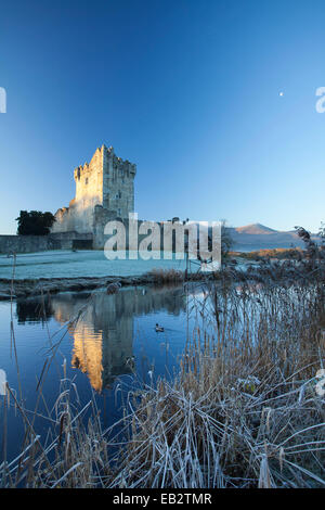 En hiver le Château de Ross, Lough Leane, le Parc National de Killarney, comté de Kerry, Irlande. Banque D'Images
