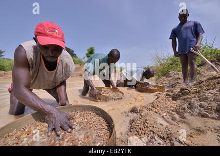 Les chasseurs de diamants à la recherche de diamants dans une mine avec tamis et pelles, près de Koidu, Koidu-Sefadu, district de Kono Banque D'Images