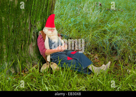 Gnome rigolo dormir sous un arbre dans la forêt Banque D'Images