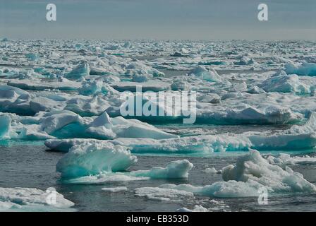 Glace qui recouvre la surface de l'océan le long du bas du l'île de Baffin, dans le détroit d'Hudson et de la mer du Labrador. Banque D'Images