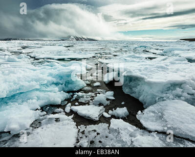 Des blocs de glace, glaces dérivantes, fjord avec la banquise, l'île de Spitsbergen, Svalbard, archipel de Svalbard et Jan Mayen (Norvège) Banque D'Images