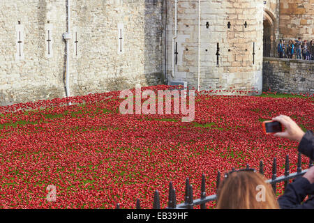 'Blood a balayé les terres et les mers de l' rouge coquelicots en céramique à tour de Londres Angleterre Europe Banque D'Images