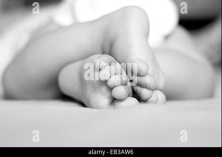 Close-up of Baby Boy's feet Banque D'Images