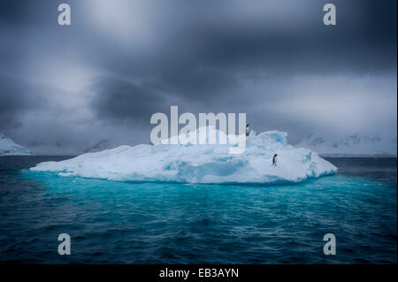 L'antarctique, deux pingouins debout sur la glace berg Banque D'Images