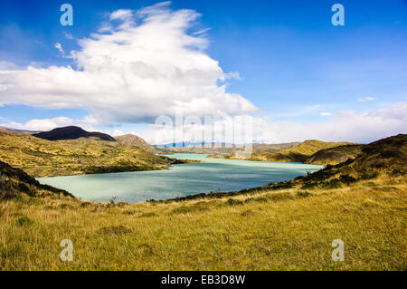 Le Chili, Magallanes, Parc National Torres del Paine, Peho lake Banque D'Images