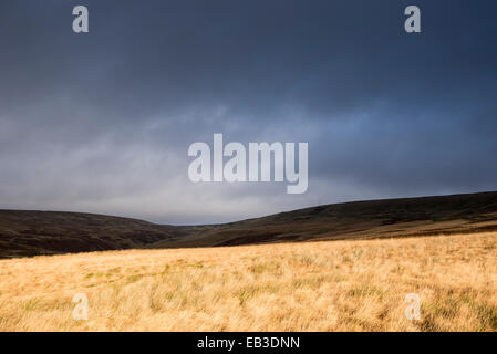 Soleil et ciel sombre moorland près de Holme Moss. Paysage ouvert avec des contrastes de l'éclairage. Banque D'Images