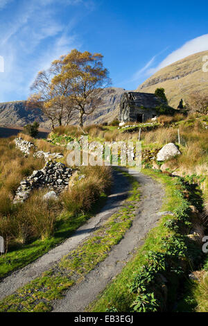 Cottage en ruine sous le MacGillycuddys Reeks mountain dans la vallée noire, dans le comté de Kerry, Irlande. Banque D'Images