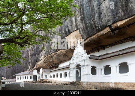 Dambulla cave temple, le plus grand et le mieux préservé des temples de caverne au Sri Lanka Banque D'Images