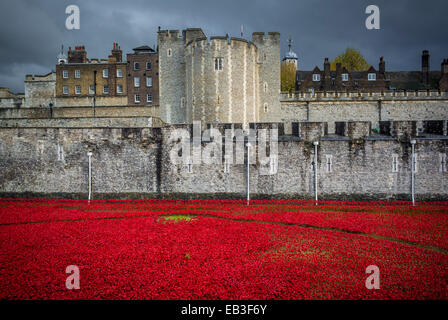 Les terres et les mers de sang ont balayé de Red art installation à la Tour de Londres. 888 246 coquelicots en céramique plantés dans les douves de la tour. Banque D'Images