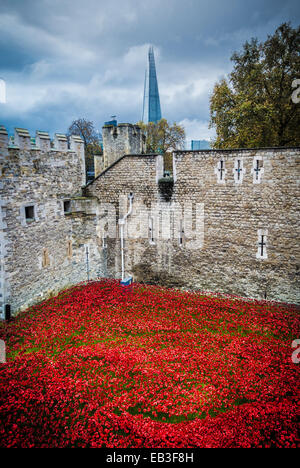 Les terres et les mers de sang ont balayé de Red art installation à la Tour de Londres. 888 246 coquelicots en céramique plantés dans les douves de la tour. Banque D'Images