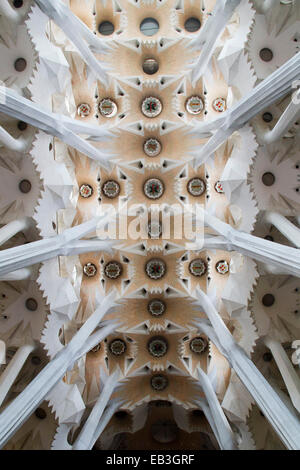 La Sagrada Familia (Sainte Famille) conçu par Antonio Gaudi détail plafond intérieur montrant l'Espagne,Barcelone Banque D'Images