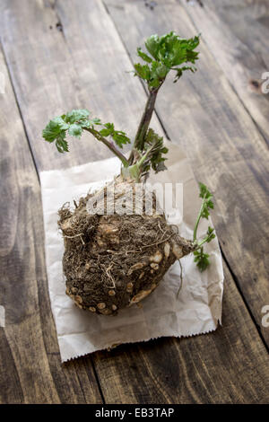 Céleri bio (racine le céleri et les feuilles de céleri) sur fond de bois Banque D'Images