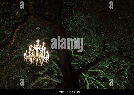 Londres, Royaume-Uni. 25 novembre 2014. Un lustre est suspendu dans un arbre. Appuyez sur Aperçu de l'éclairage illuminations saisonniers Kew Gardens après la tombée de la nuit. Kew Gardens ouvre un nouveau sentier pour la période de Noël 2014 (26 novembre 2014 au 3 janvier 2015) avec les bâtiments illuminés tels que la Palm House, un jardin feu et d'un tunnel de lumière. Il y a aussi une série d'inspiration botanique, à grande échelle des installations lumineuses, créées par le studio de design Français TILT. Les visiteurs peuvent acheter des billets pour l'entrée en soirée de 17h à 10h. Credit : Nick Savage/Alamy Live News Banque D'Images