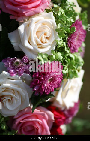 Close up color shot de quelques roses. Banque D'Images