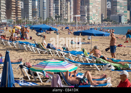 Plage de Benidorm, alicante province, Costa Blanca, Espagne. tous les groupes d'âge à la retraite des aînés savons de soleil en flânant à pied se reposer près de la mer Banque D'Images