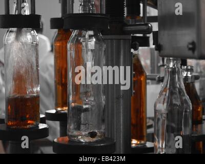 Une usine de mise en bouteilles de rhum dans la région de Pinar del Rio de Cuba Banque D'Images