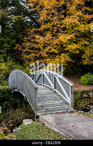 Pont de randonnée voûté sur le ruisseau et l'étang avec des arbres colorés d'automne, Weston, Vermont, États-Unis, vt, chemin d'automne de la Nouvelle-Angleterre, jardin ombragé Banque D'Images