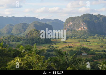 Le karst calcaire paysage de montagne de la région de Vinales Cuba Banque D'Images