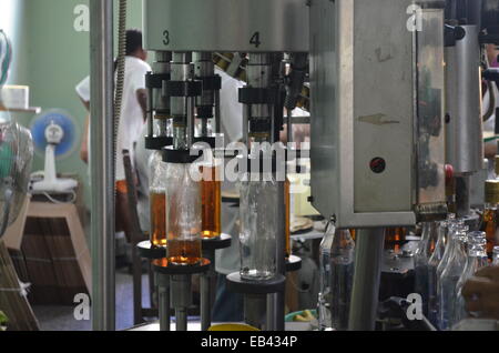 Une usine de mise en bouteilles de rhum dans la région de Pinar del Rio de Cuba Banque D'Images