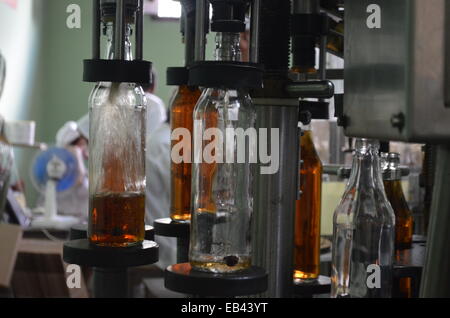 Une usine de mise en bouteilles de rhum dans la région de Pinar del Rio de Cuba Banque D'Images