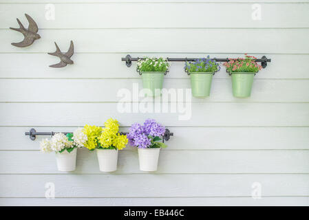 Pot de fleurs sur le mur en bois Banque D'Images