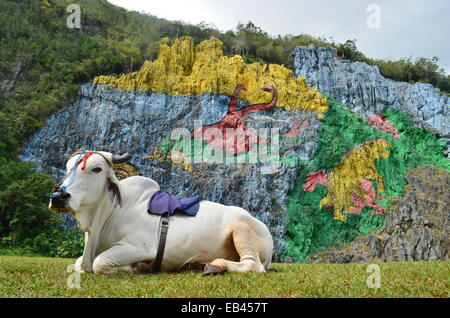 Murale de la Préhistoire, une fresque géante peinte sur une falaise dans la région de Vinales Cuba. Banque D'Images