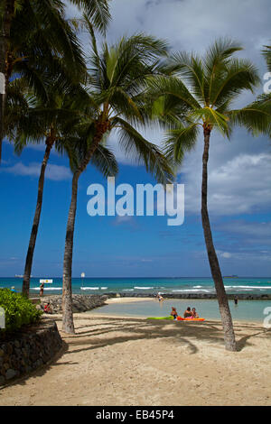 La plage de Waikiki et de palmiers, Waikiki, Honolulu, Oahu, Hawaii, USA Banque D'Images