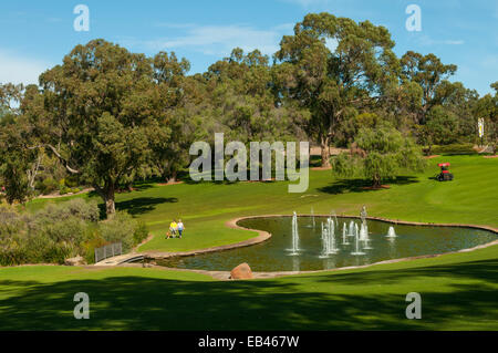 Le Lac de fontaine dans Kings Park, Perth, WA, Australie Banque D'Images