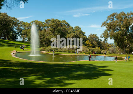 Le Lac de fontaine dans Kings Park, Perth, WA, Australie Banque D'Images