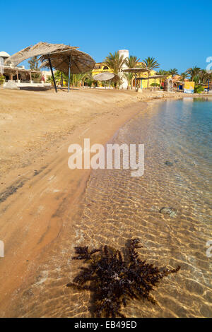 Plage de El Gouna. L'Égypte Banque D'Images