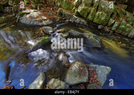 Les feuilles qui tombent. Les feuilles tombées dans roaring mountain stream. Banque D'Images