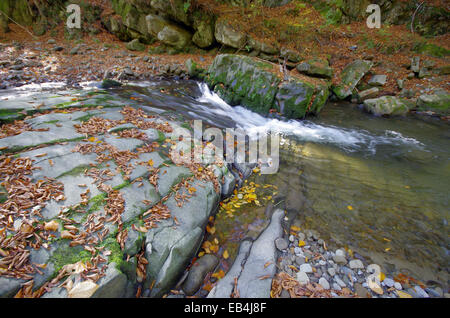 Les feuilles qui tombent. Les feuilles tombées dans roaring mountain stream. Banque D'Images