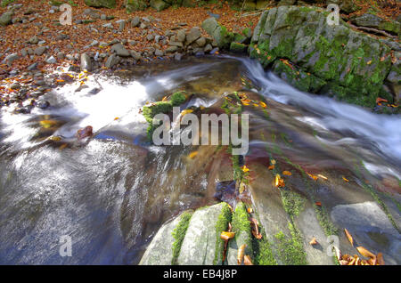 Les feuilles qui tombent. Les feuilles tombées dans roaring mountain stream. Banque D'Images