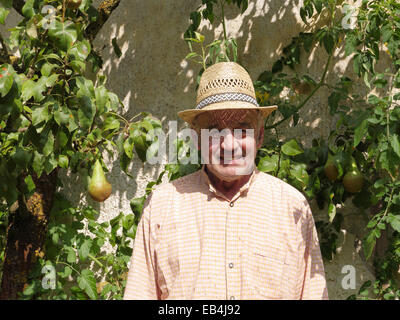 Allemagne Bavière Hallertau heureux agriculteur à ripe pear tree Banque D'Images