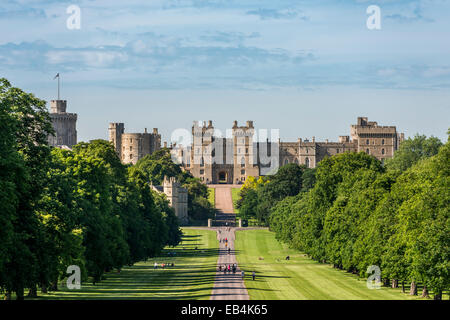 Le Château de Windsor est une résidence royale à Windsor dans le comté anglais du Berkshire. Vu ici à partir de la Longue Marche.