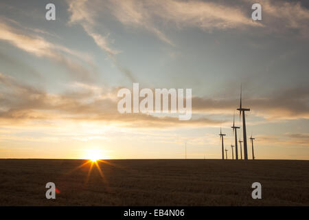 Plusieurs turbines éoliennes dans un paysage ouvert à l'extérieur de Kennewick, Washington au coucher du soleil. Banque D'Images