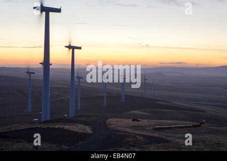 Plusieurs turbines éoliennes dans un paysage ouvert à l'extérieur de Kennewick, Washington au coucher du soleil. Banque D'Images