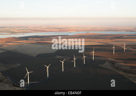 Plusieurs turbines éoliennes dans un paysage près de la rivière Columbia, à l'extérieur de Kennewick, Washington. Banque D'Images