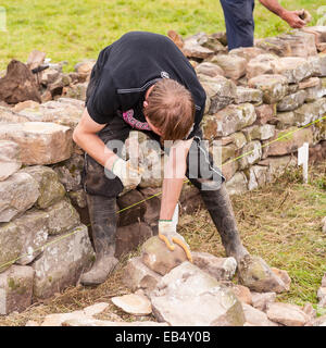 Un mur de pierres sèches à la concurrence construction Reeth show , Swaledale dans le Yorkshire Dales dans le Yorkshire , Angleterre , Angleterre , Royaume-Uni Banque D'Images