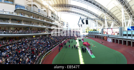 Chine Hong Kong Jockey Club dans le quartier de Shatin Banque D'Images