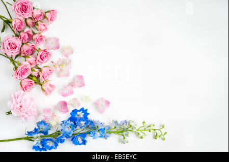 Delphinium bleu et rose, oeillet et hydrangea sur fond blanc Banque D'Images